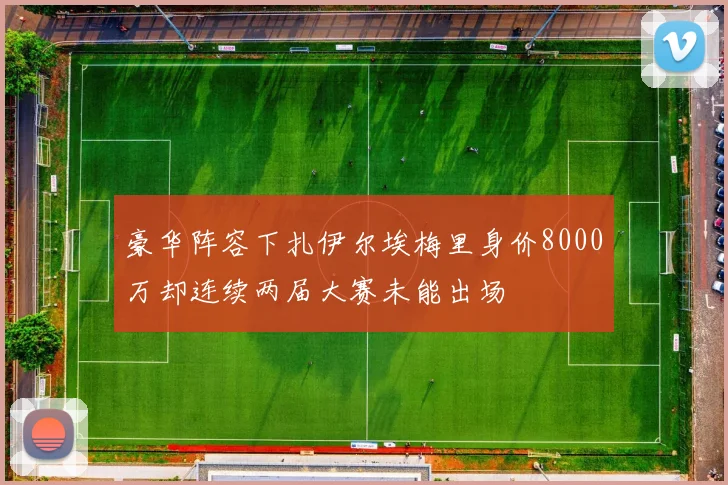 豪华阵容下扎伊尔埃梅里身价8000万却连续两届大赛未能出场
